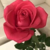 Светлана Рачкова Светлана Рачкова
